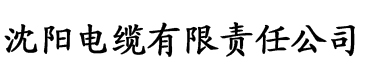 星空卫视官方网站首页电缆厂logo